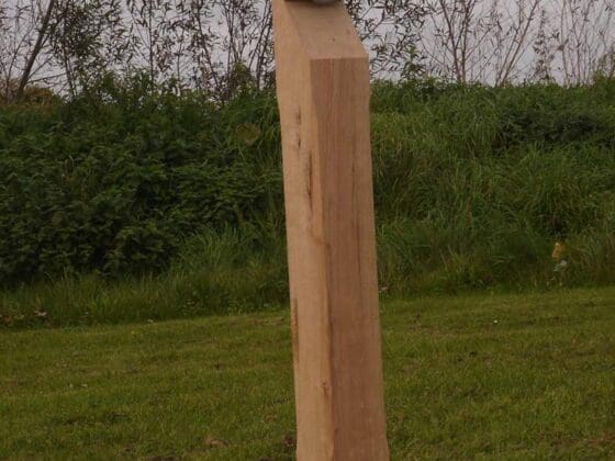 Illuminated Timber Bollard
