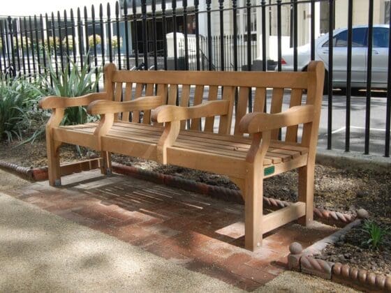 Seats With Multiple Arms