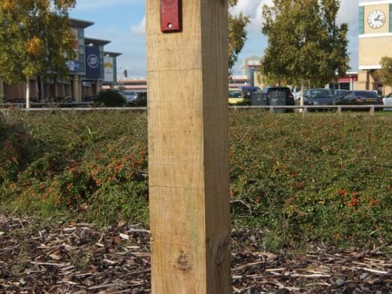 Softwood Square, Pointed with Reflector