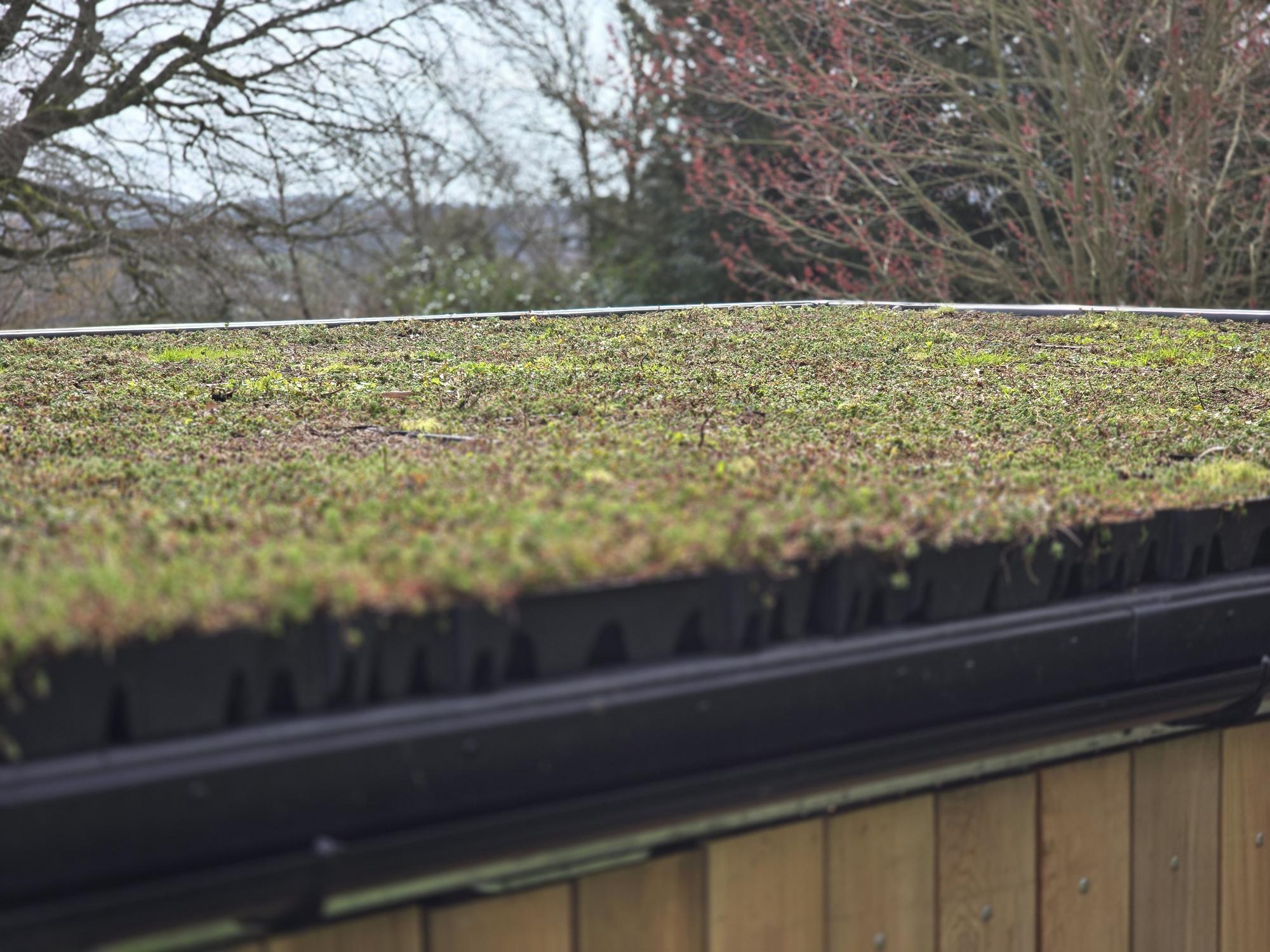 Sedum Roof Bin Store - Image 5