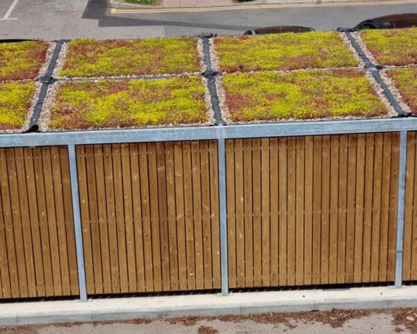 Sedum roof bin store